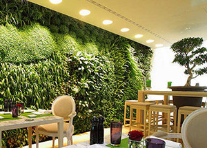 广州室内植物墙厂家